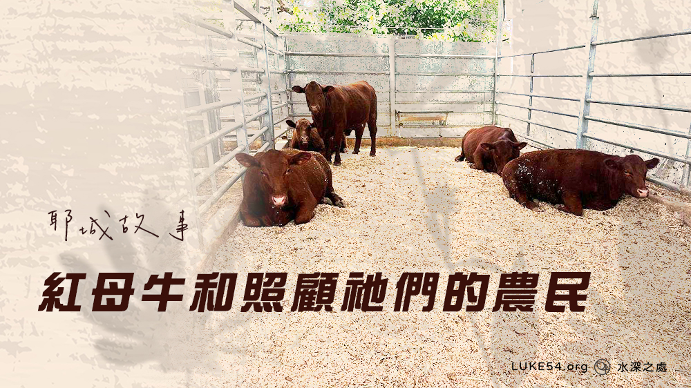 耶城故事